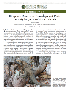 Summary article in IRCF magazine by Tandora Grant - Biosphere Reserve to Transshipment Port: Travesty for Jamaica’s Goat Islands